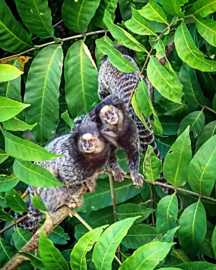 Pousada Costao Do Sol Angra dos Reis Eksteriør billede