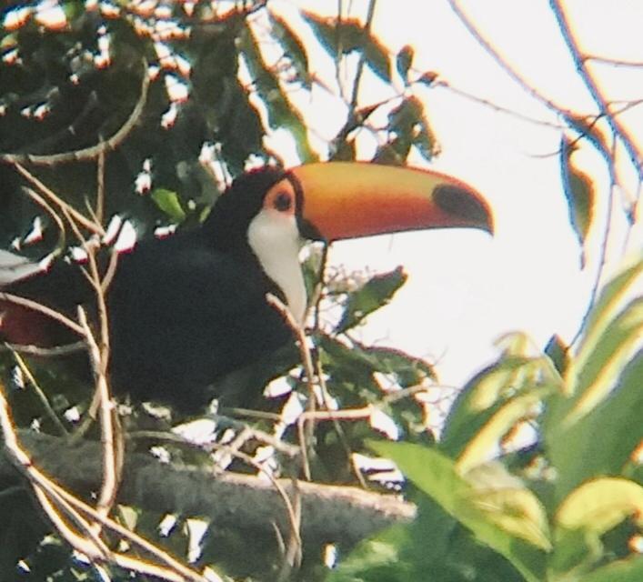 Pousada Costao Do Sol Angra dos Reis Eksteriør billede